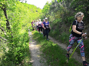 Photo n°4 de GYMNASTIQUE VOLONTAIRE PRADES - FFEPGV- SPORT SANTE - Vitafédé - à Prades (Club de gymnastique)