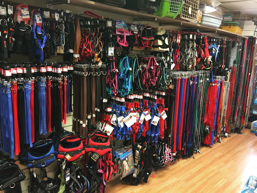 The Pet Centre Newquay - Thumbnail