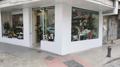 Ana Junior Florist