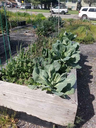 Orchard Manor Community Garden