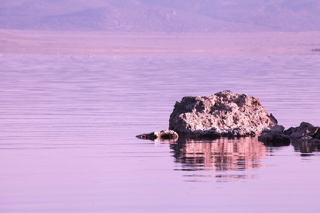 Mono Lake Tufa Reserve