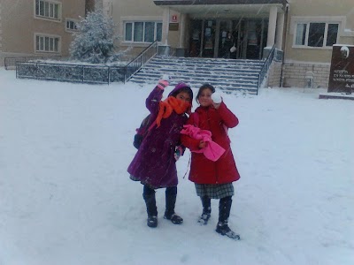 school