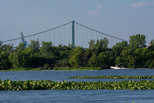 Michael Galbraith Park - Thumbnail