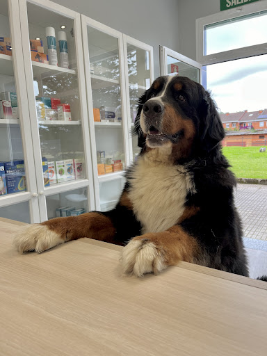 Clínica Veterinaria Saluvet