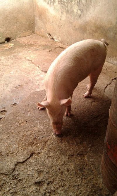 photo of Blue Sky Farm