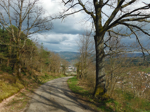 Staufenberger Grossenberg - Thumbnail