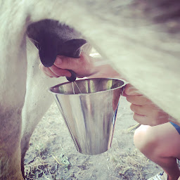 Photo n°6 de L'Âne Qui Bulle à Vallouise-Pelvoux (Éleveur)