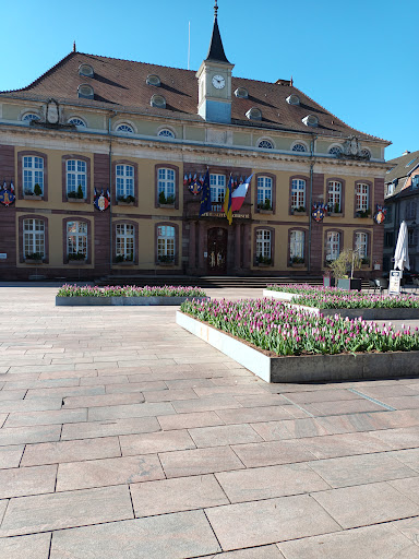 Belfort Mayor