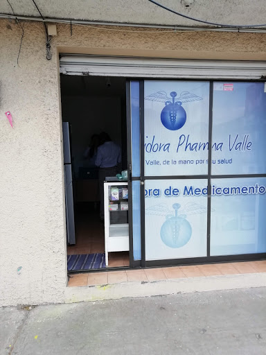 Pharma Valle - Visual