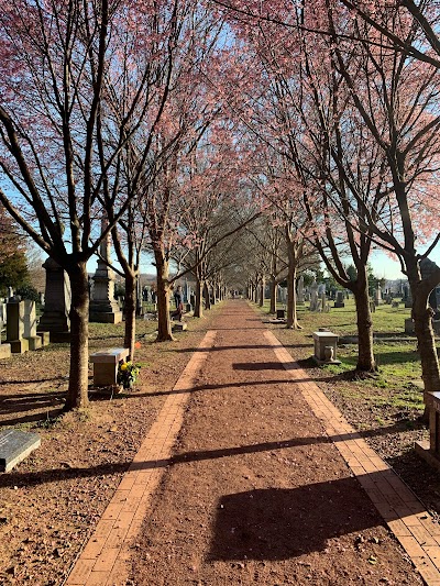 Congressional Cemetery