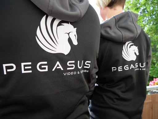 Pegasus Video & Design - Thumbnail