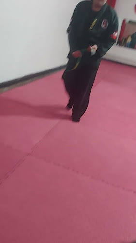 Comentarios y opiniones de Escuela Defensa Personal Dokyokan