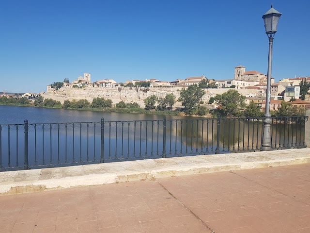 Puente de Piedra