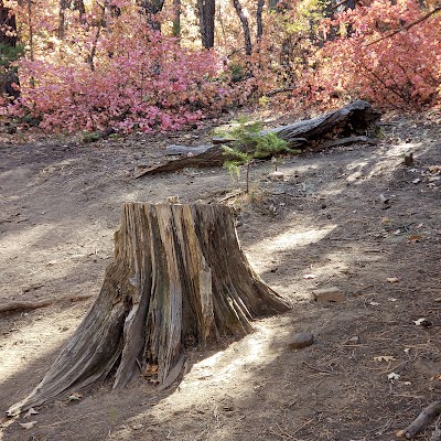 Fourth of July Trailhead