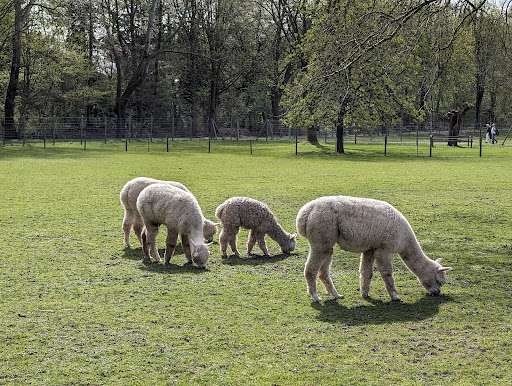 Moerser Freizeitpark Tiergehege - Thumbnail
