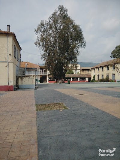 Photos of School Saint Augustin