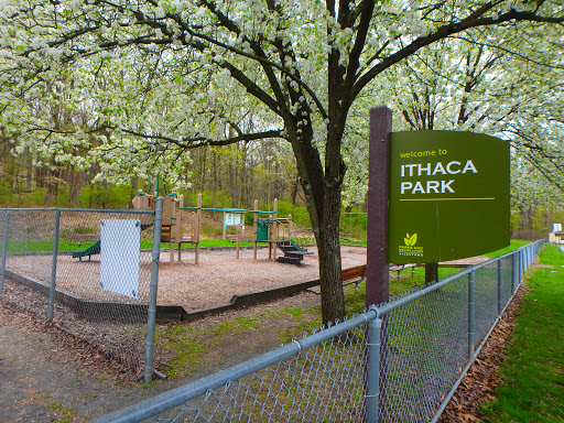 Ithaca Park & Wilderness Trail - Thumbnail
