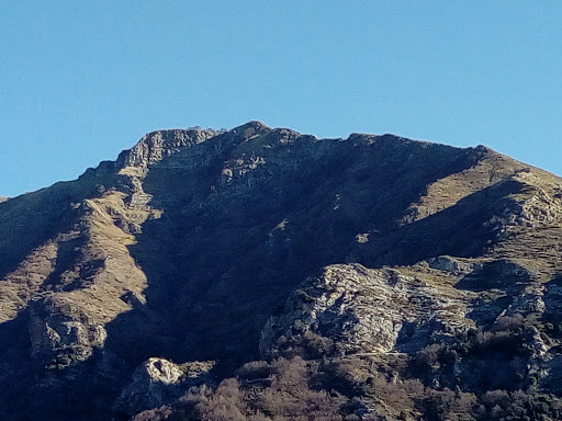 Argentina Arma - Visual