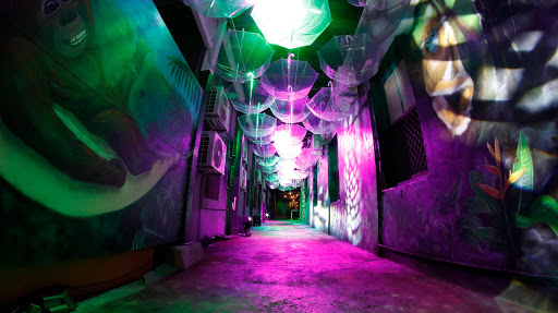 Mad Monkey Central - Visual