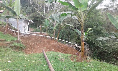 Photos of Bar & restaurate Chechey