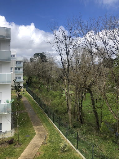 Photo de Résidence Services Seniors DOMITYS - Terres de Légendes à Vannes (56000)