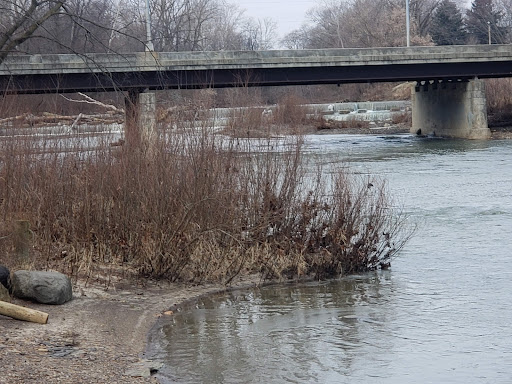 Clark Park - Visual