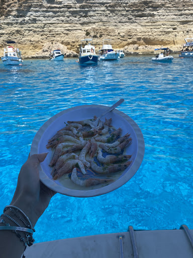 Gita in Barca Delfino Blu Lampedusa - Thumbnail