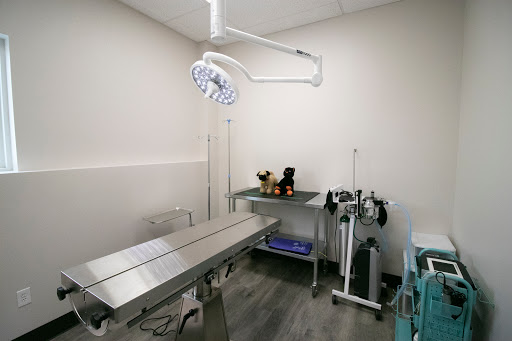 Monte Vista Animal Hospital - Thumbnail