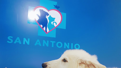 Clinica Veterinaria San Antonio - Centro de oncología veterinaria