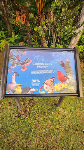 Hawaii Volcano National Park Road Sign Gallery - United States