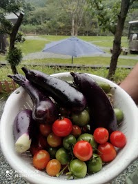 クレのハウス(camp site)