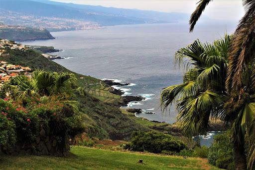 Costa de El Sauzal - Thumbnail