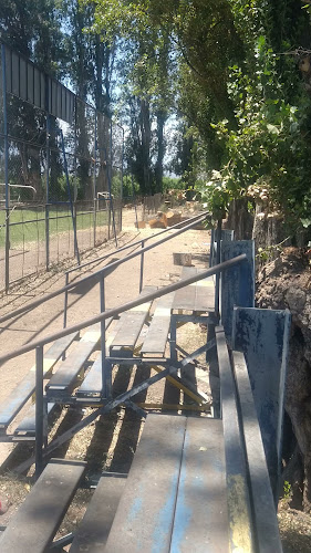 Opiniones de Cancha El Roble en Mostazal - Campo de fútbol