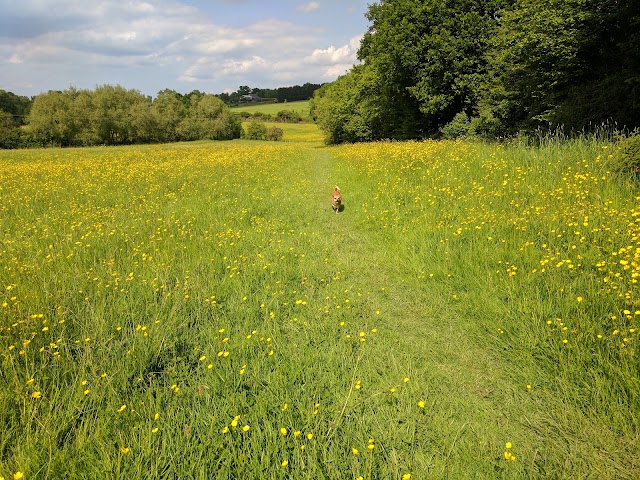 High Weald AONB