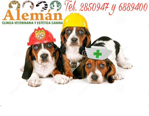 Clínica Veterinaria y Estética Canina Alemán