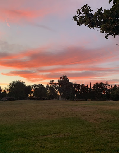Woodrow Park - Thumbnail