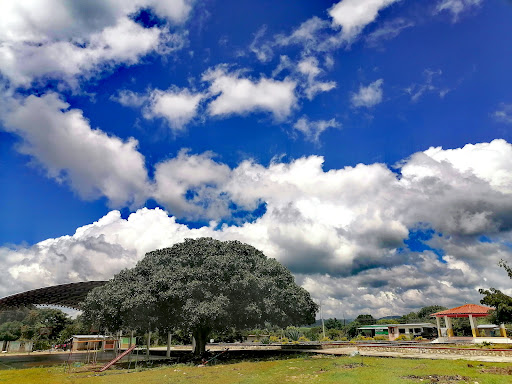 la colonia Palenque Los Pinos, Mpio. Villaflores Central Park - Thumbnail