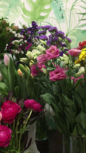 Avaliações doJasmim em Flor em Silves - Floricultura