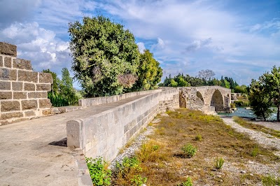 Historic Aspendos Bridge