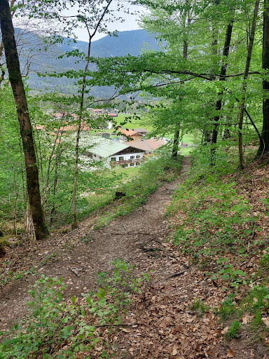 Märchenhafter Wald - Thumbnail
