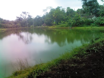 Photos of Situ Cisuba