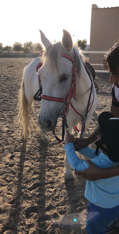 Photos of Al Waha Equestrian Club