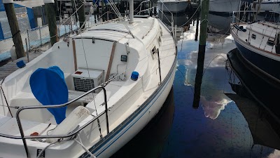 Photos of Paradise Marina