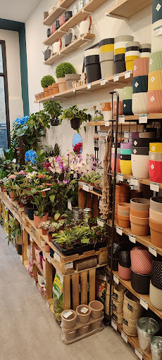 Rom'Art jardinerie urbaine - Thumbnail