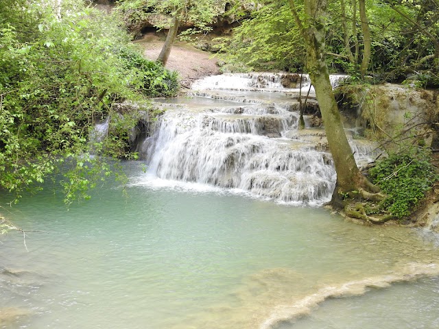 Place around image