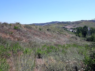 Karbunarë