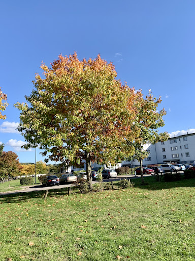 Parc des Chênes - Thumbnail