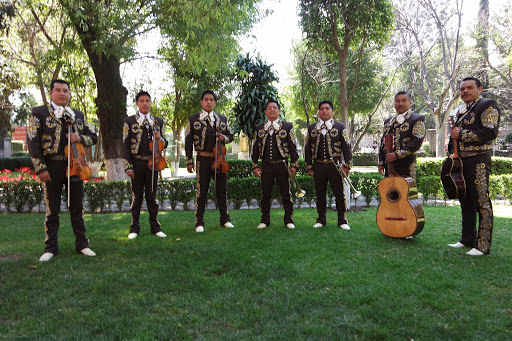 MARIACHI TEQUILA COYOACAN CDMX-MARIACHIS DE LA CDMX