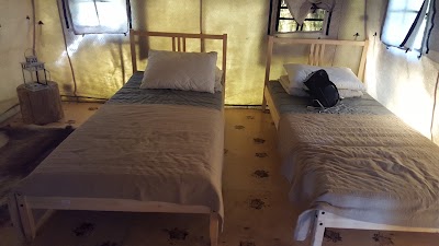 Photos of Ekootel Forest Lake Mirror