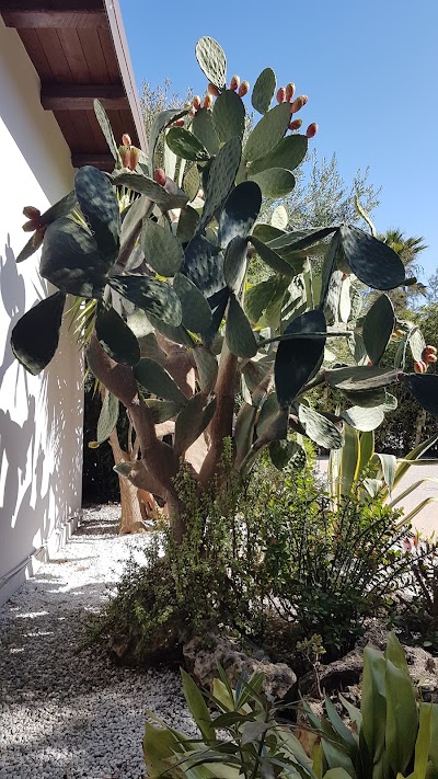 Photos of Hotel Il Lungomare